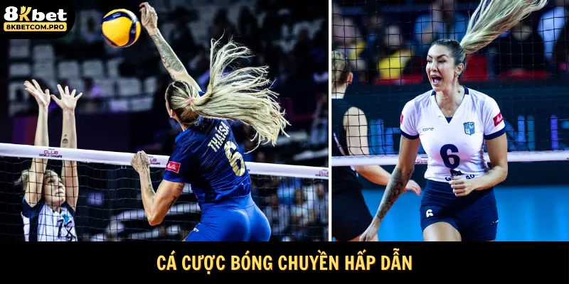 Cá cược bóng chuyền hấp dẫn