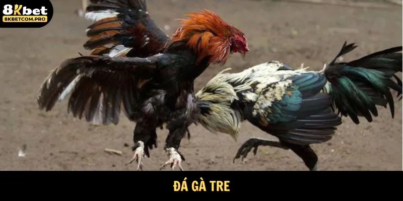 Đá Gà Tre