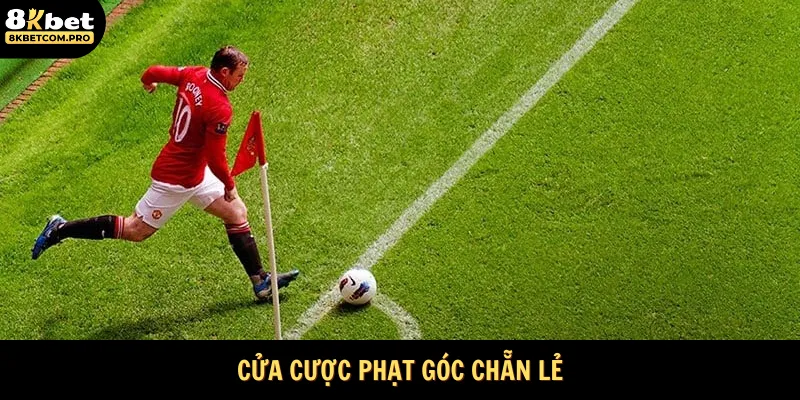 Cập nhật thông tin về cửa cược chẵn lẻ 