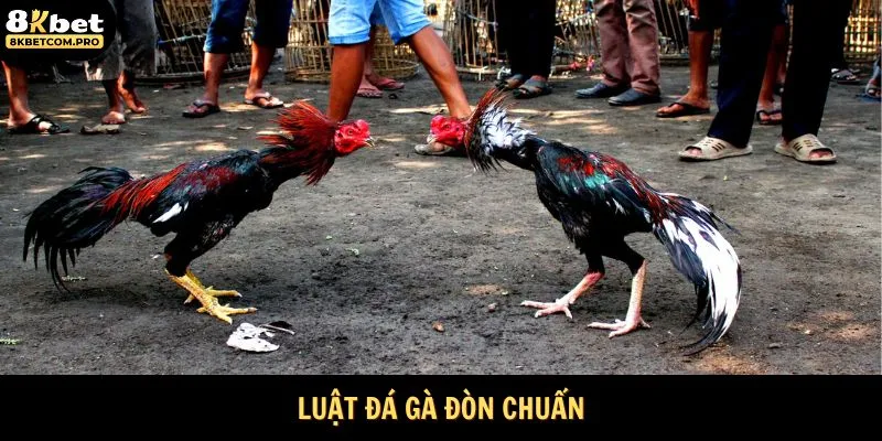 Luật đá gà đòn chuẩn