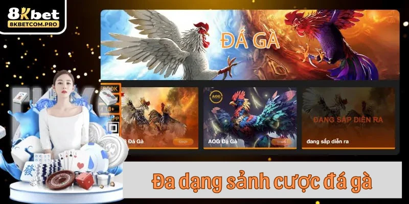 Đa dạng sảnh cược đá gà tại 8KBET